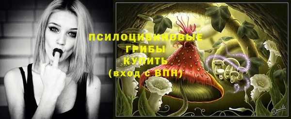 наркотики Алексин